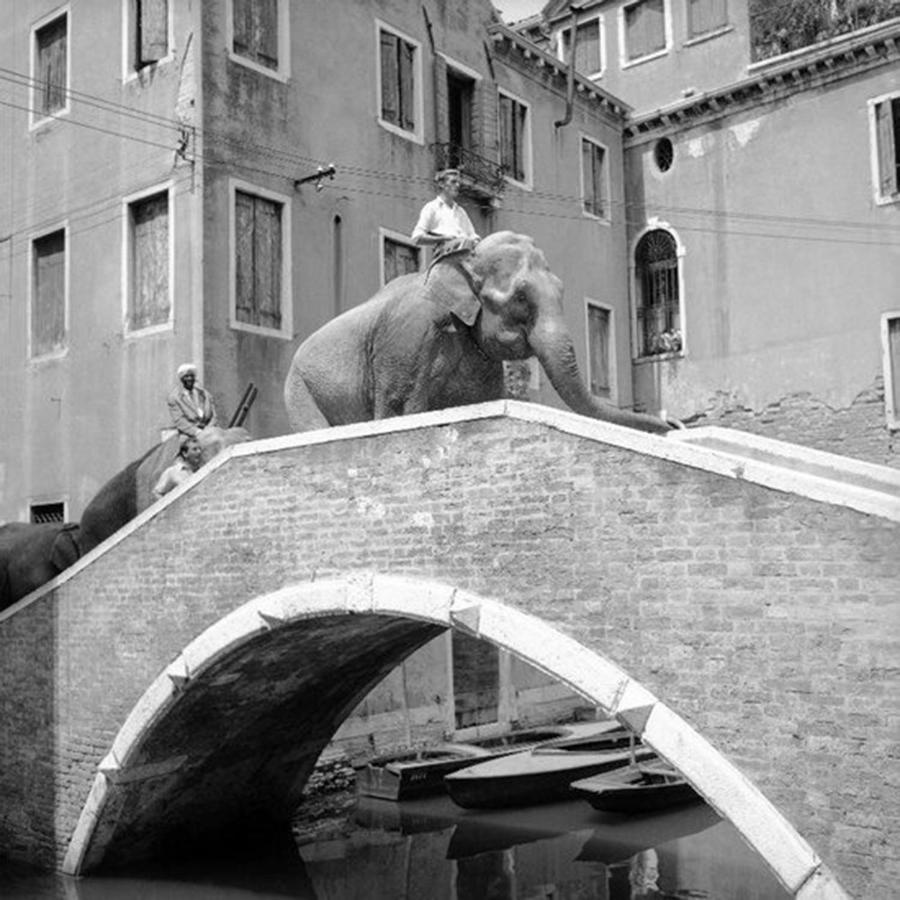 Ca' Circus 4 Rooms Wi-Fi Fibre Venedig Exteriör bild